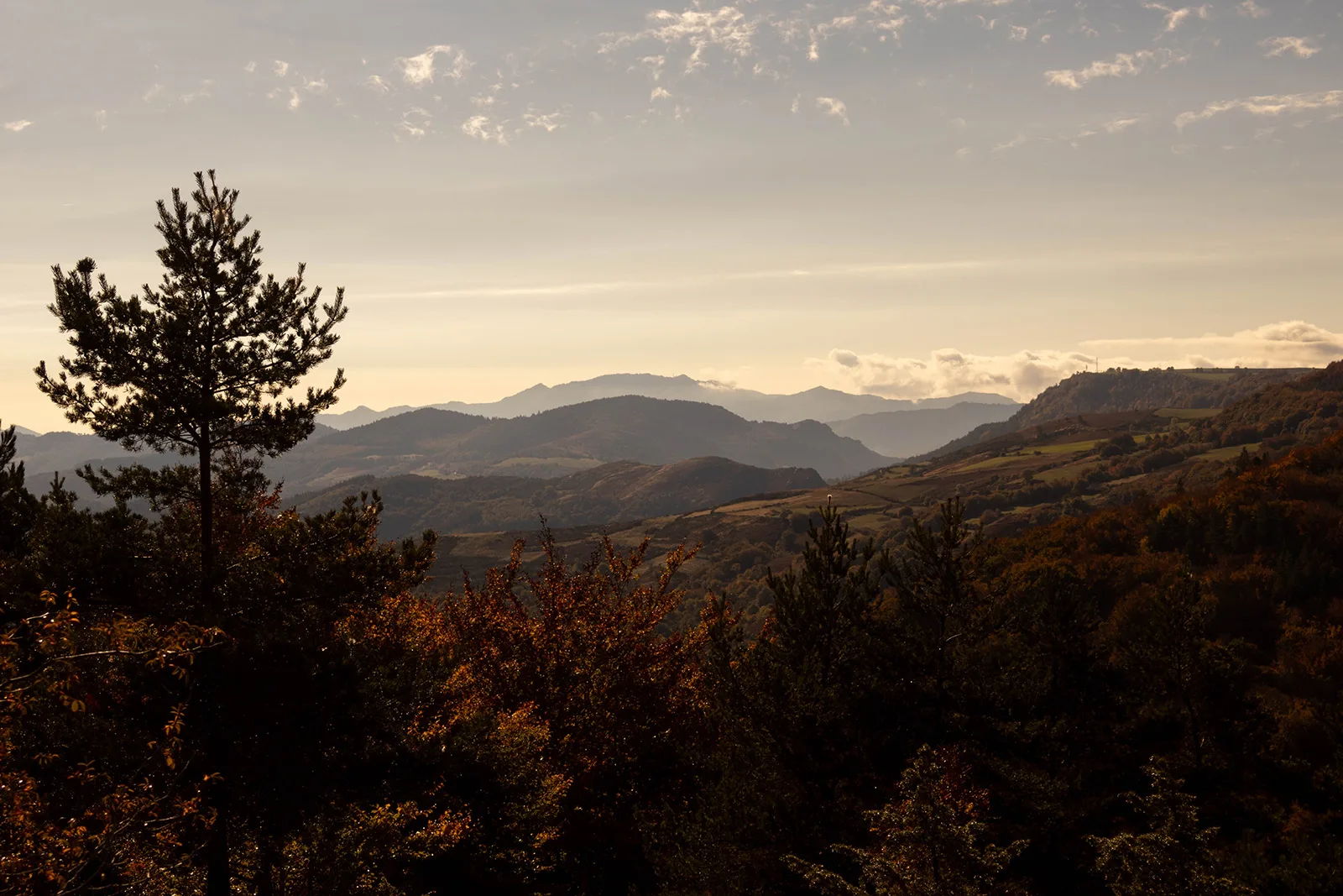 Point de vue sur la Corniche des Cévennes
