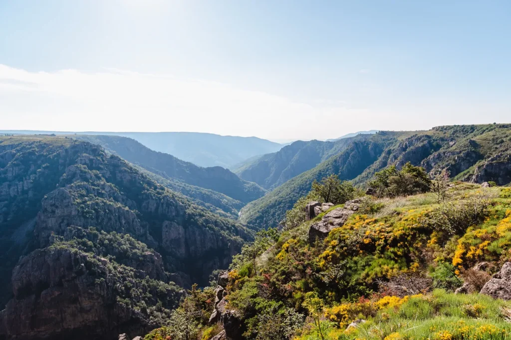 The Chassezac Gorges in spring