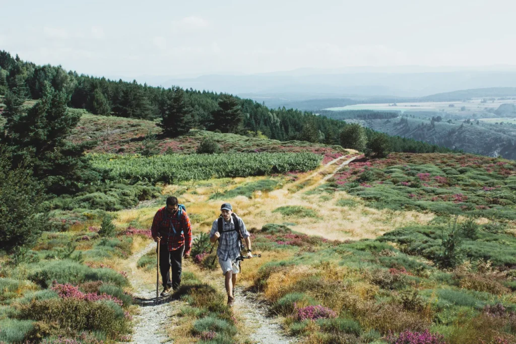 Hikers on Mont-Lozère