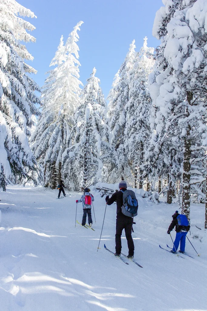 Cross-country skiing on the Plateau du Roy