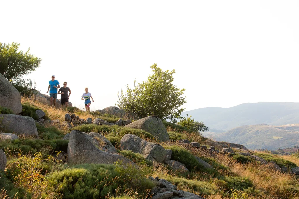 Trail runners on Mont-Lozère