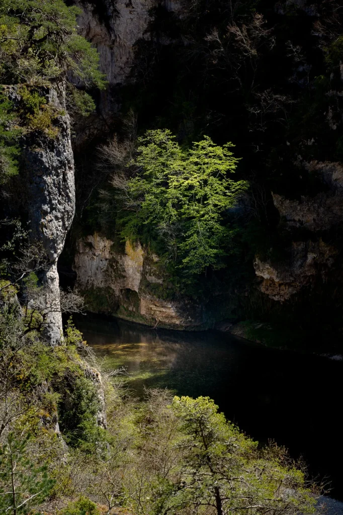 View of the Gorges du Tarn gorges