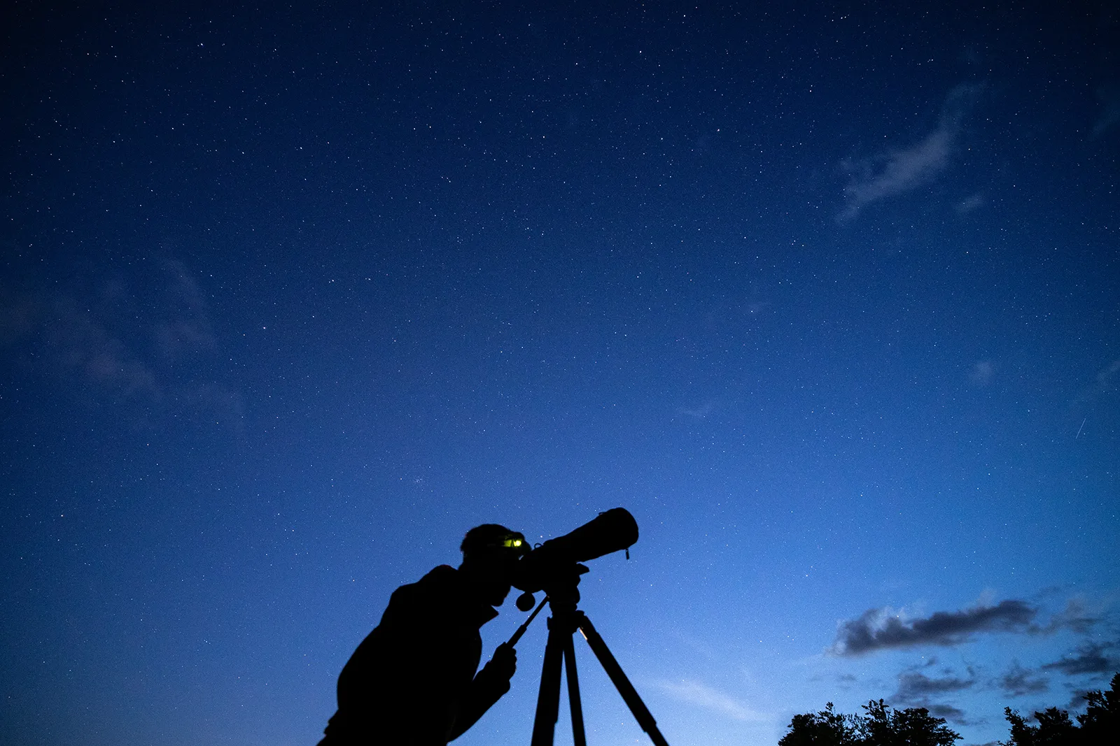 Observation du ciel étoilé