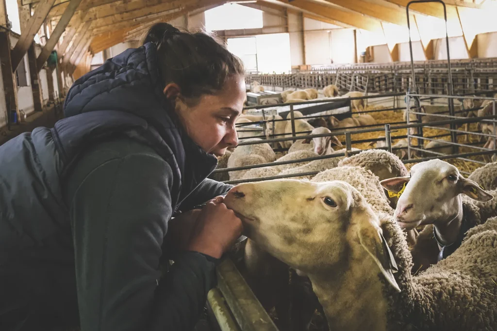 A shepherdess from Armand and Marie’s farm