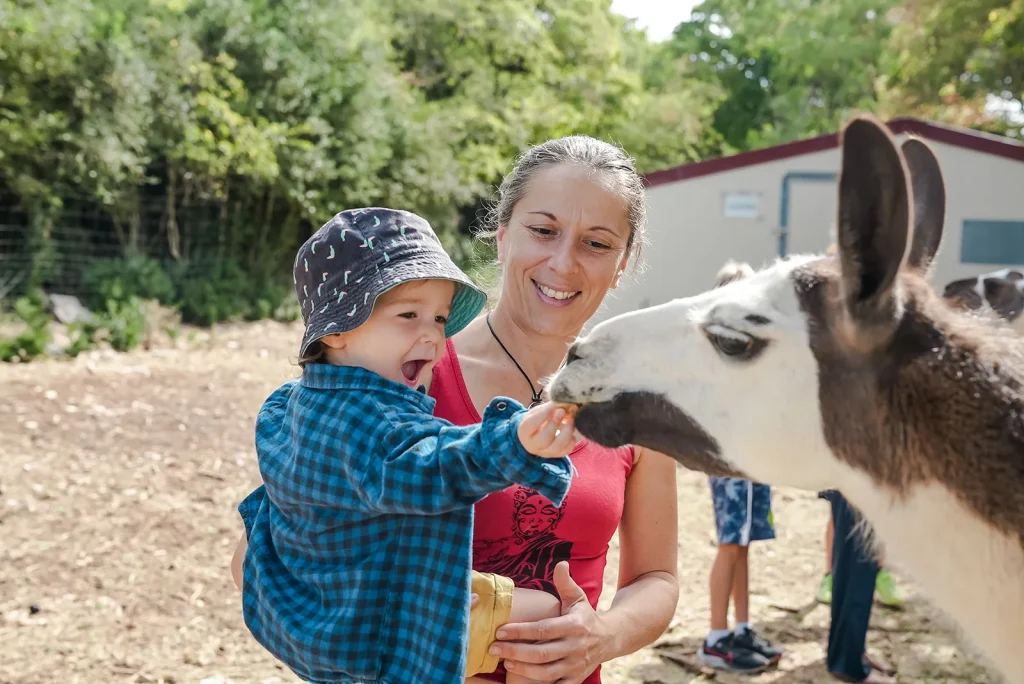 A family visiting the ‘Saveurs d’Autre Foie’ farm