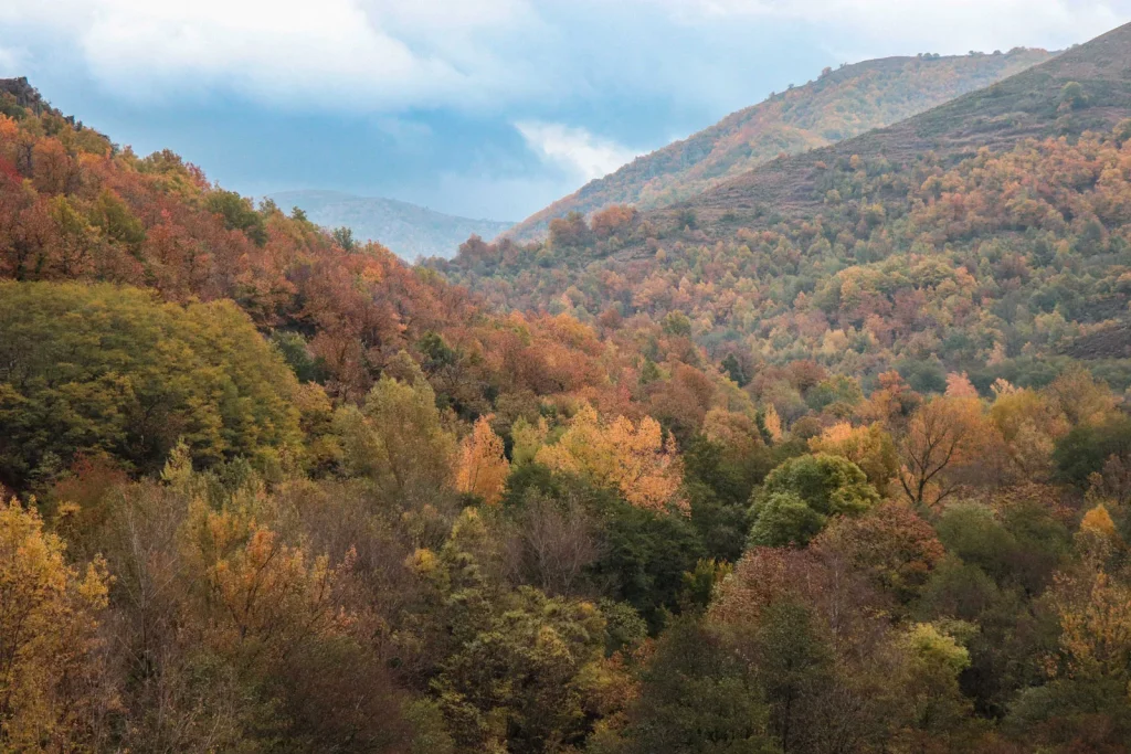 The Tarn Gorges in autumn