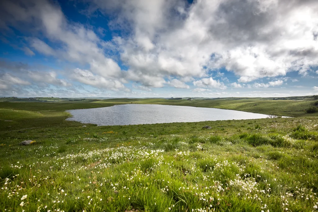 Lake Saint-Andéol in spring