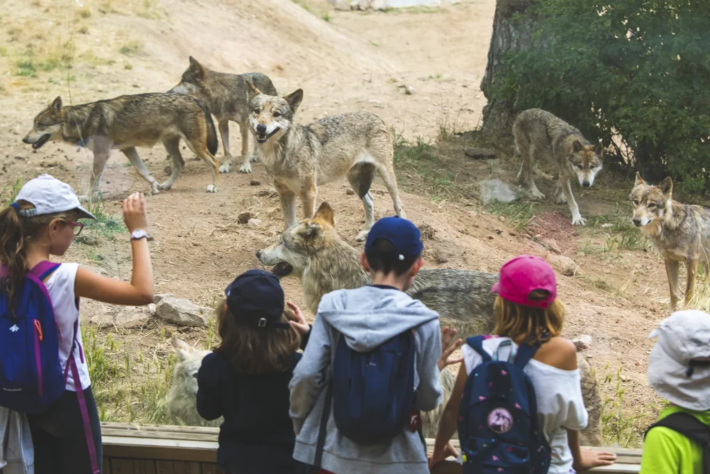 Children at the Gévaudan Wolf Park