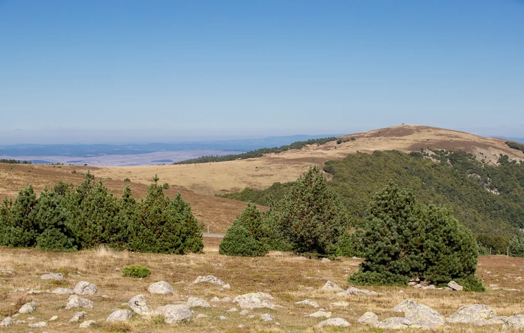 Vue sur Mont-Aigoual