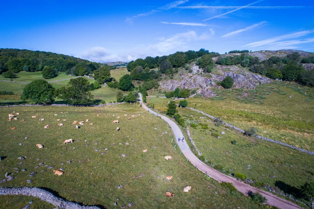 Hikers in the Aubrac