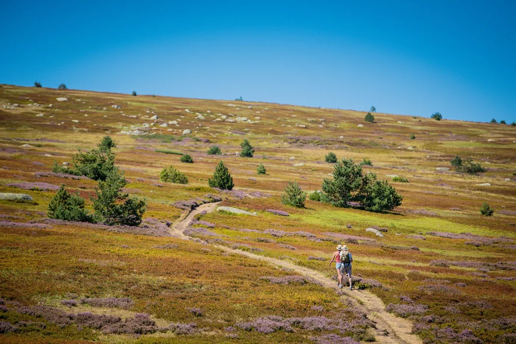 Hike on Mont-Lozère