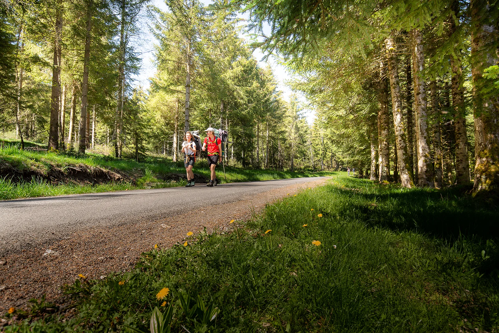Randonneurs sur le chemin de Régordane