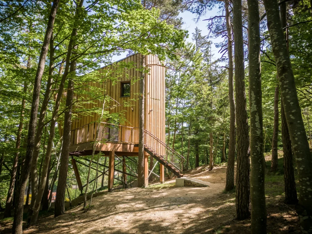 A cabin in the Margeride Forest for a unique overnight stay.