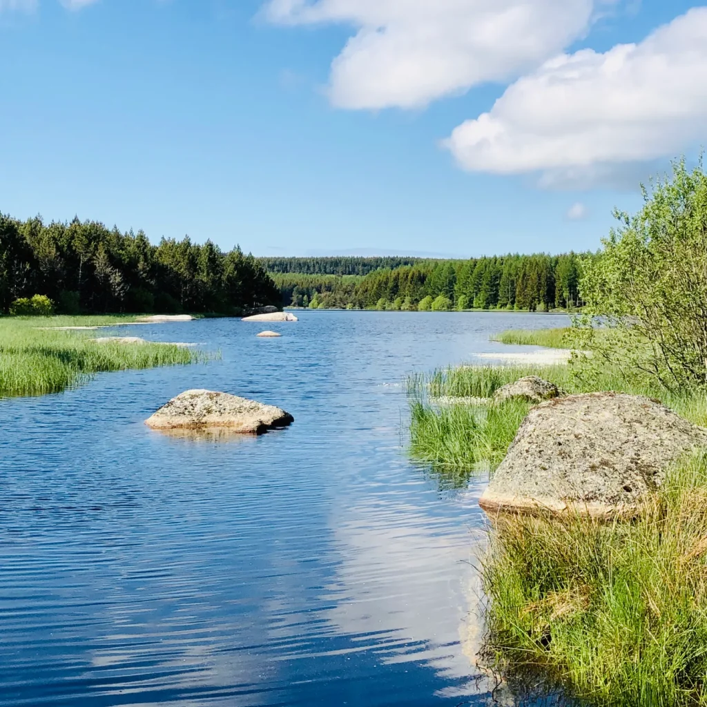 Vue au ras de l'eau du lac de Charpal, un air de Canada.