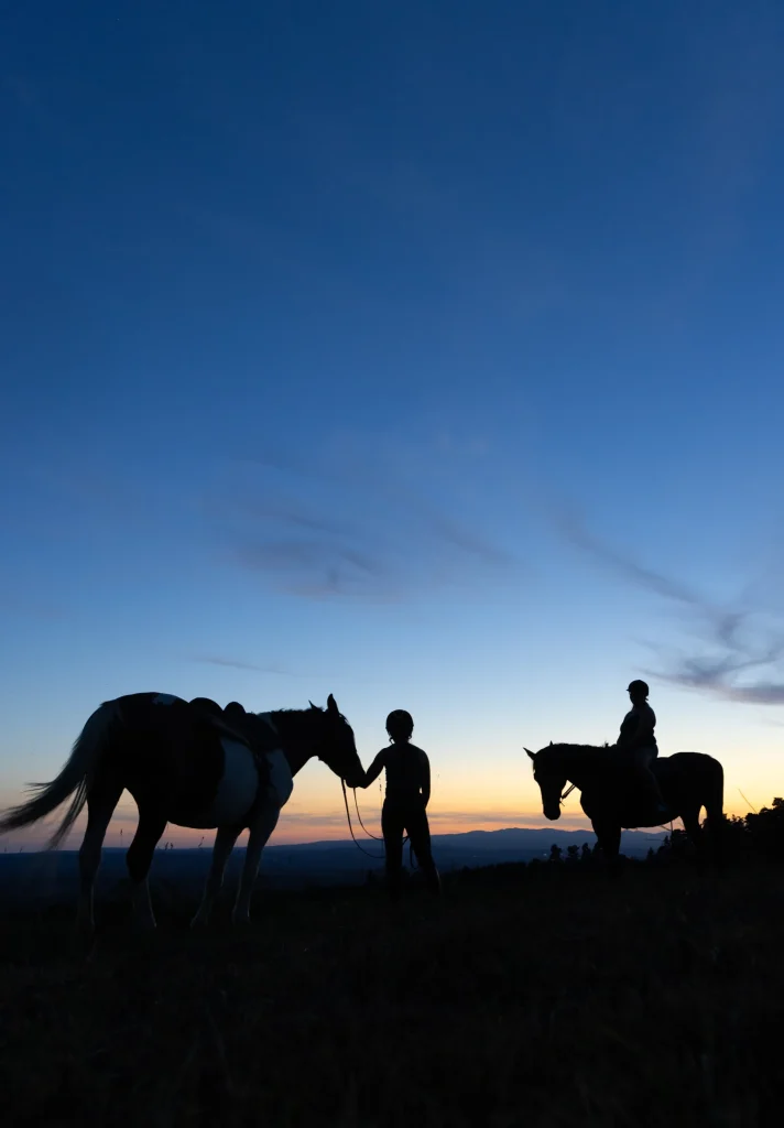 Two horsemen on a night-time ride.