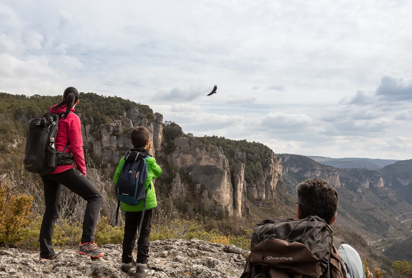 Excursion naturaliste dans les Gorges de la Jonte, pour l'observation des vautours.