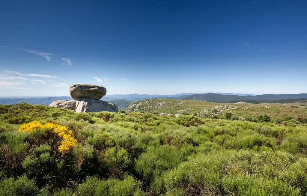 Landscape of Mont-Lozère