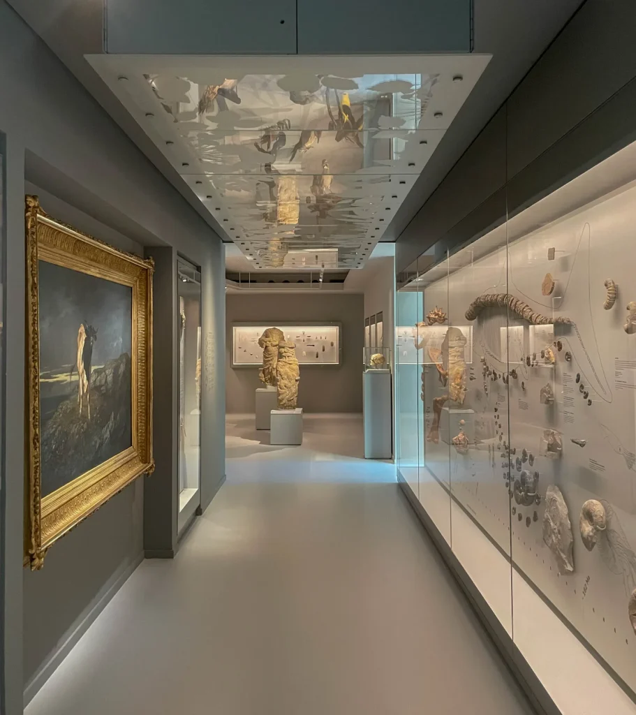 A natural history exhibition at the Gévaudan Museum in Mende.