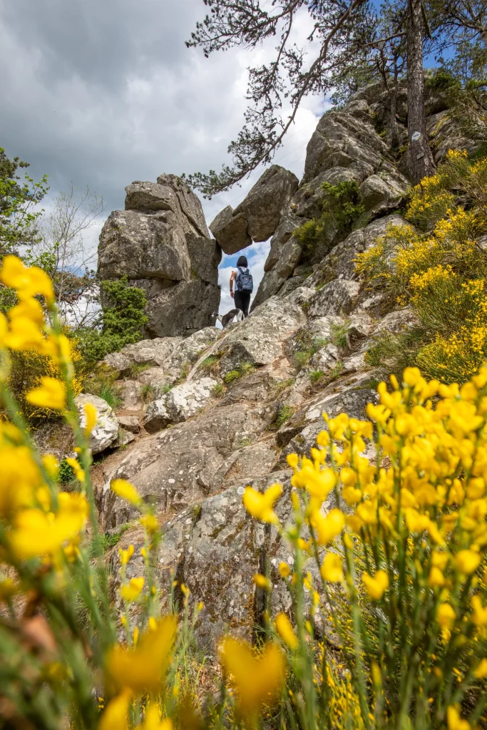 A hiker at the gateway to the fairy realm.