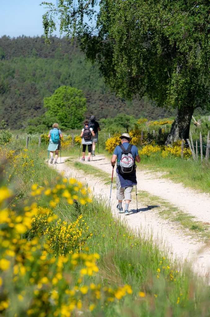 Walkers on the Way of St James, heading towards Lajo.