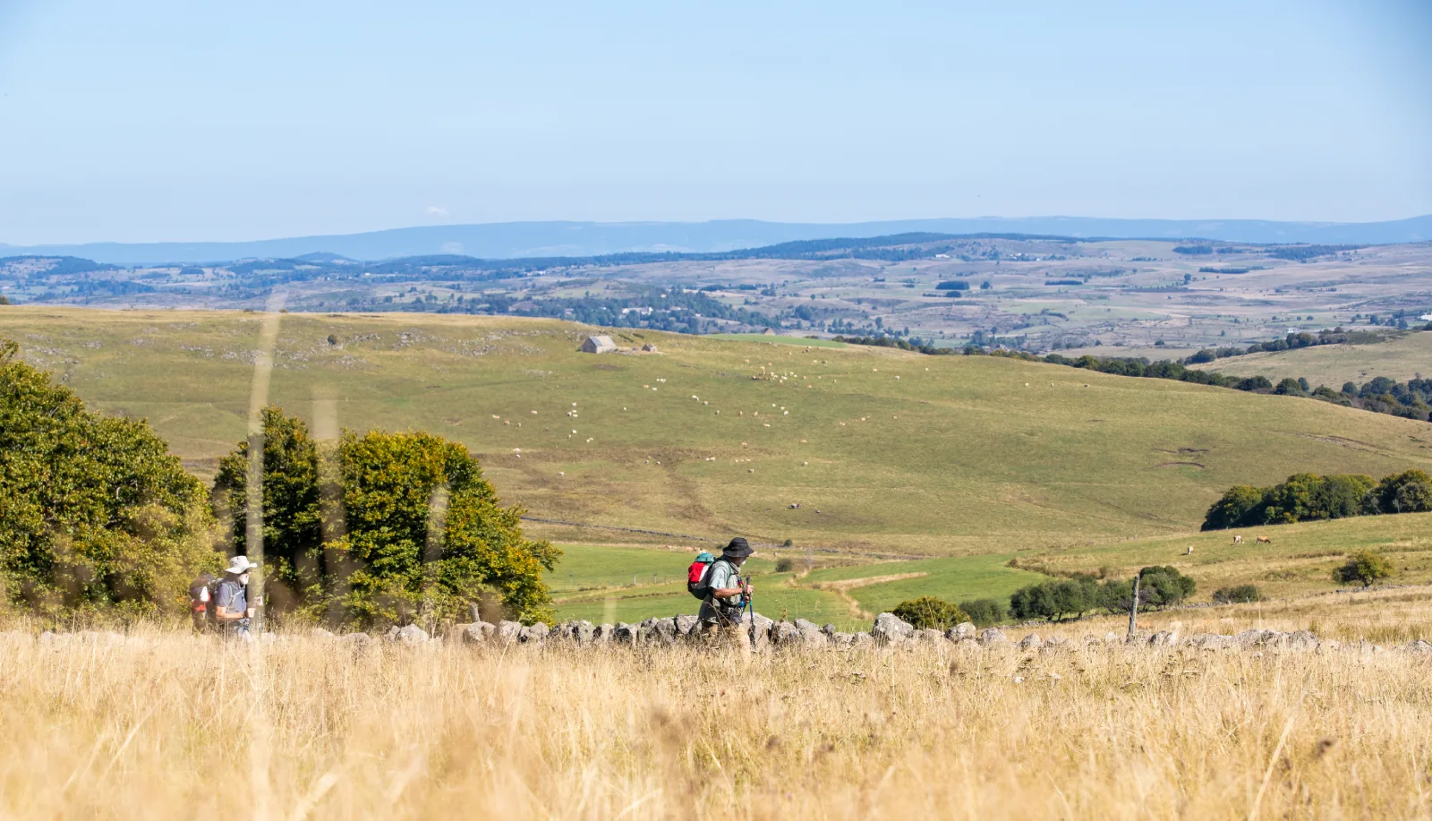 Randonneurs sur le chemin de Saint Jacques de Compostelle, en Aubrac.
