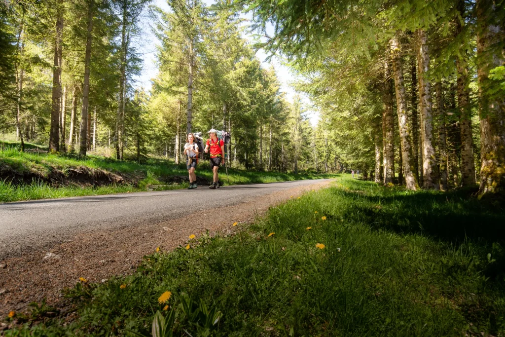 A hiker on the Régordane trail in Margeride.