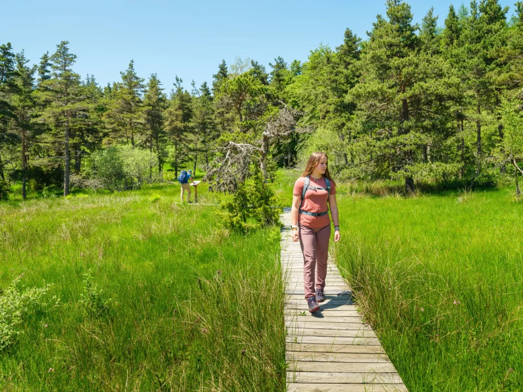 A hiker in the middle of a bog at Lake Charpal in Margeride.