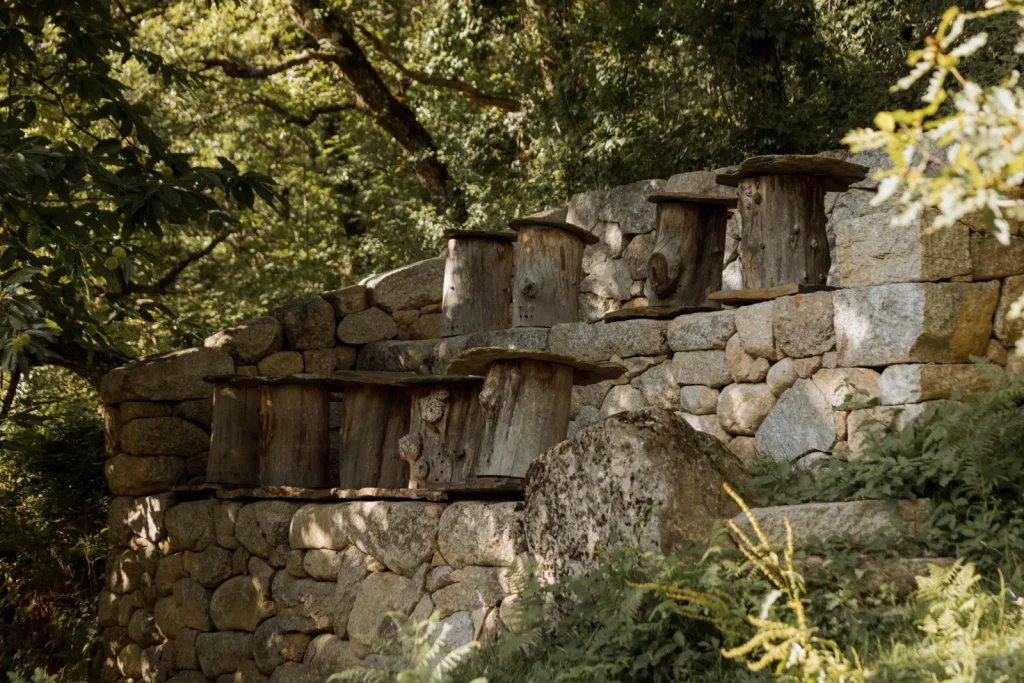 Traditional log hives in the Cévennes.