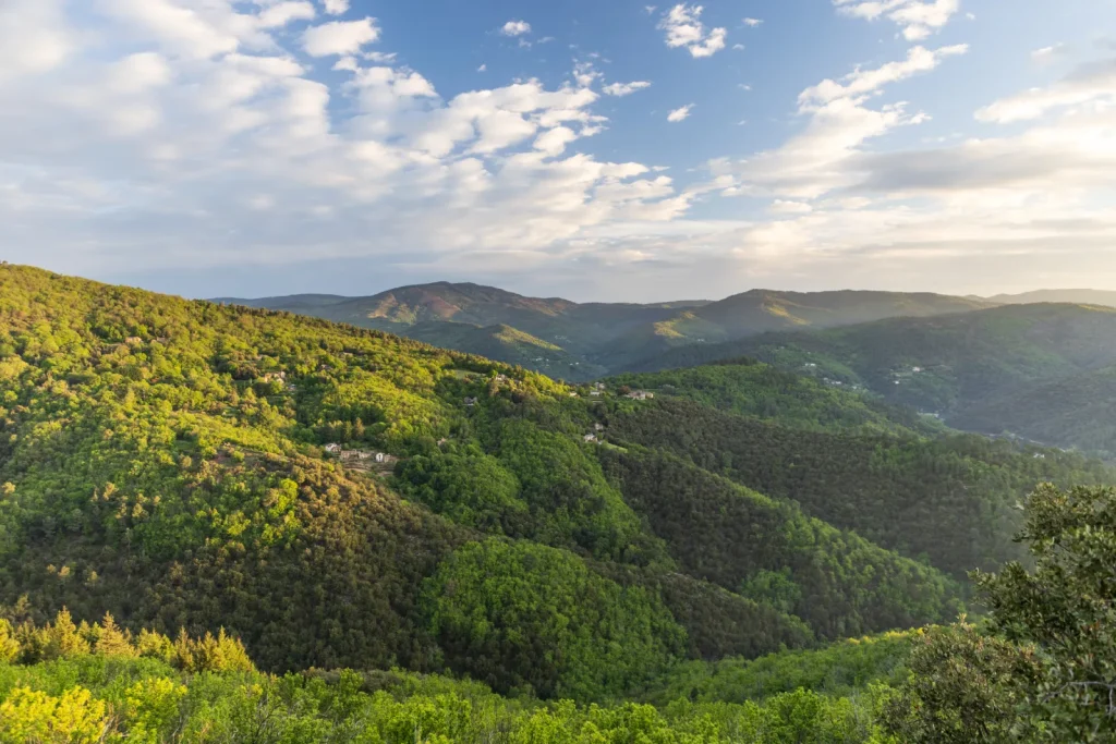 A panoramic view of the Cévennes valleys in summer.