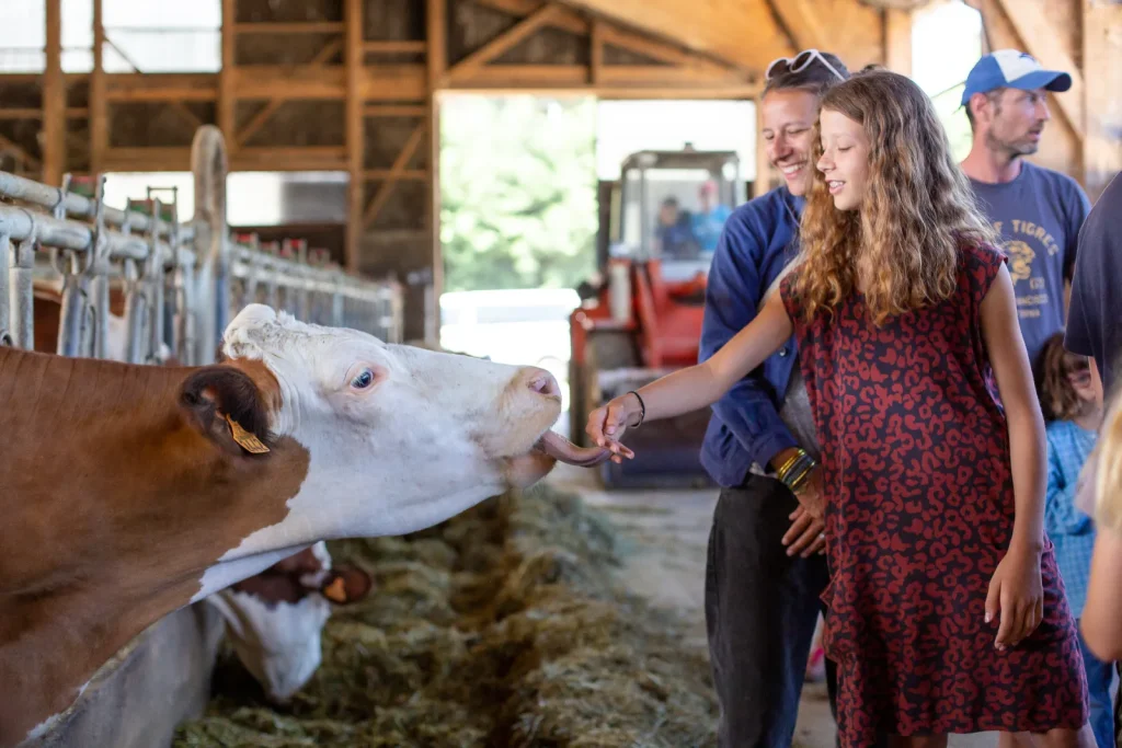 A family visit to Le Mazet farm: a young girl and a cow.
