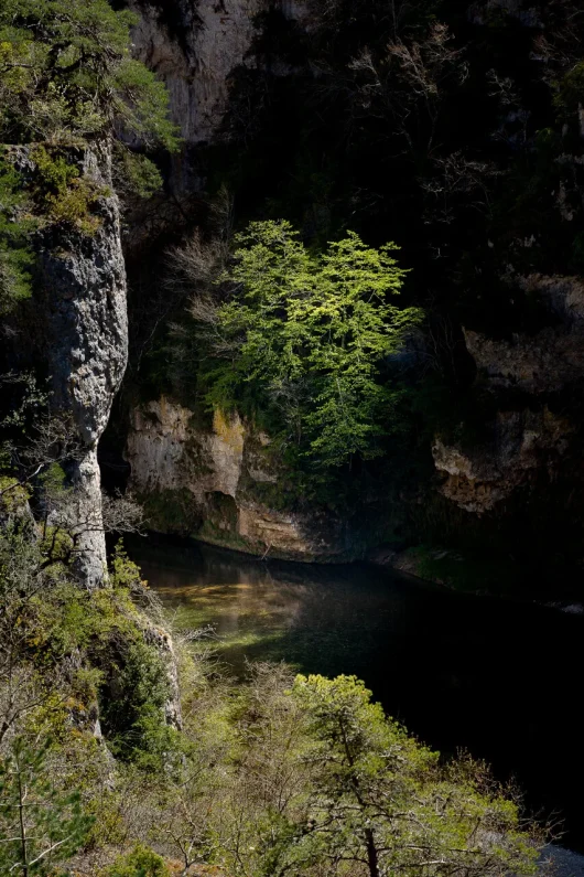 Détroits des Gorges du Tarn