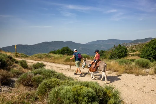 Pète et fils en randonnée avec un âne