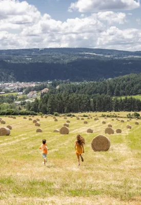 Champ près du Malzieu en Margeride