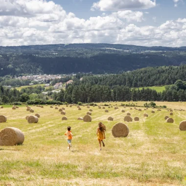 Champ près du Malzieu en Margeride