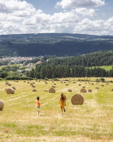 Champ près du Malzieu