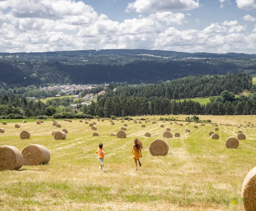 Champ près du Malzieu