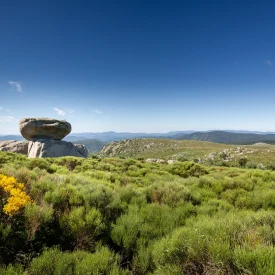 Paysage Mont-Lozère au printemps