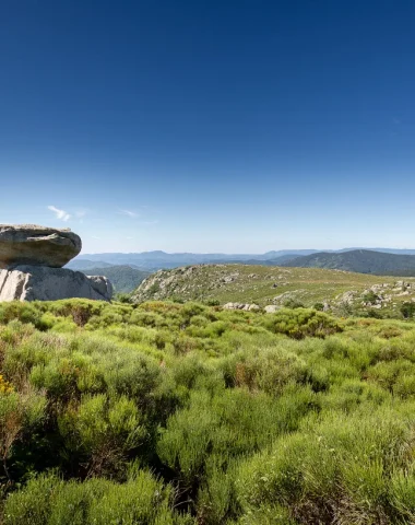 Paysage Mont-Lozère au printemps