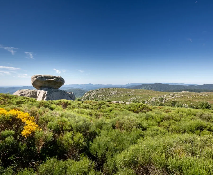 Paysage Mont-Lozère au printemps