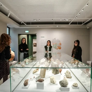 Salle du Musée du Gévaudan