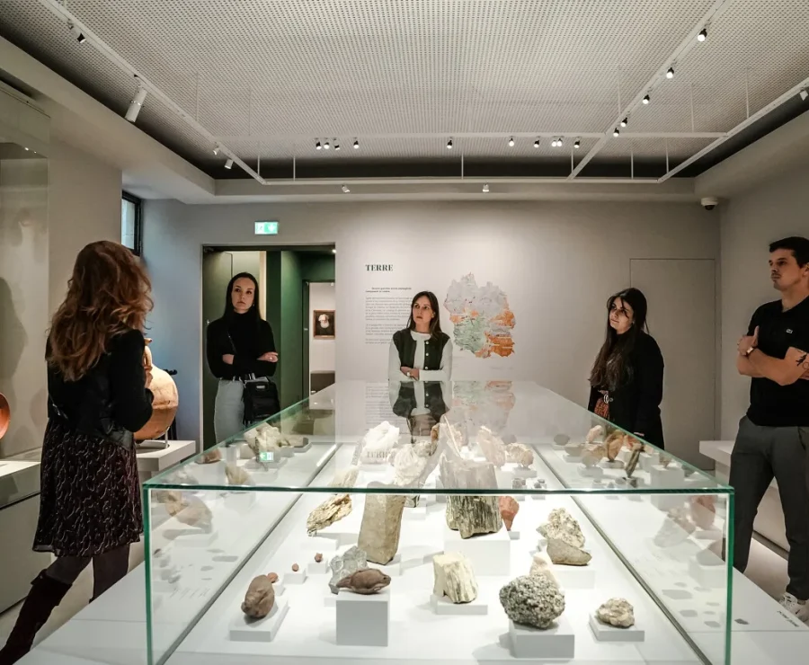 Salle du Musée du Gévaudan
