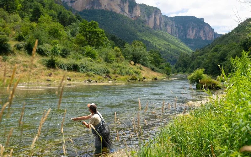 Pêcheur à la mouche
