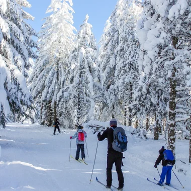Ski de fond
