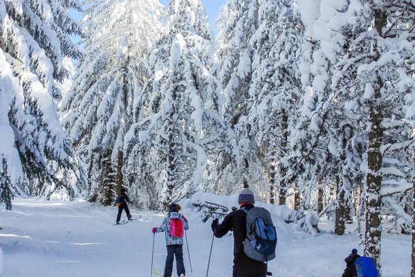 Ski de fond