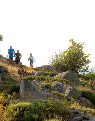 Traileurs sur le Mont-Lozère