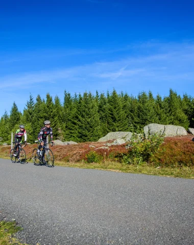 Cyclistes sur route