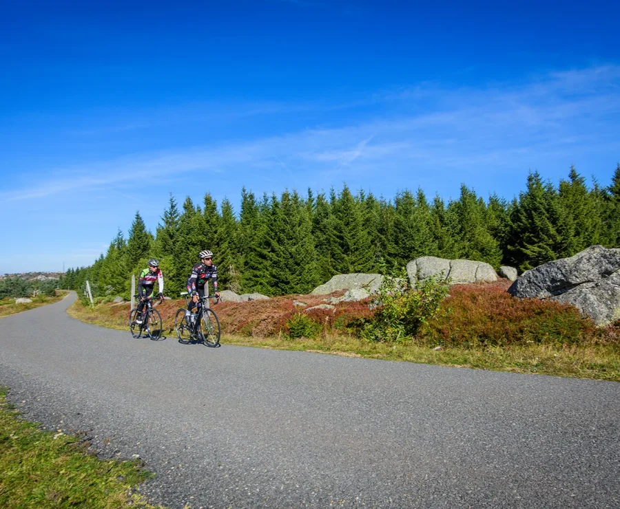 Cyclistes sur route