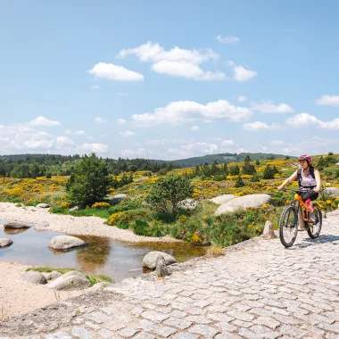 VTT électrique