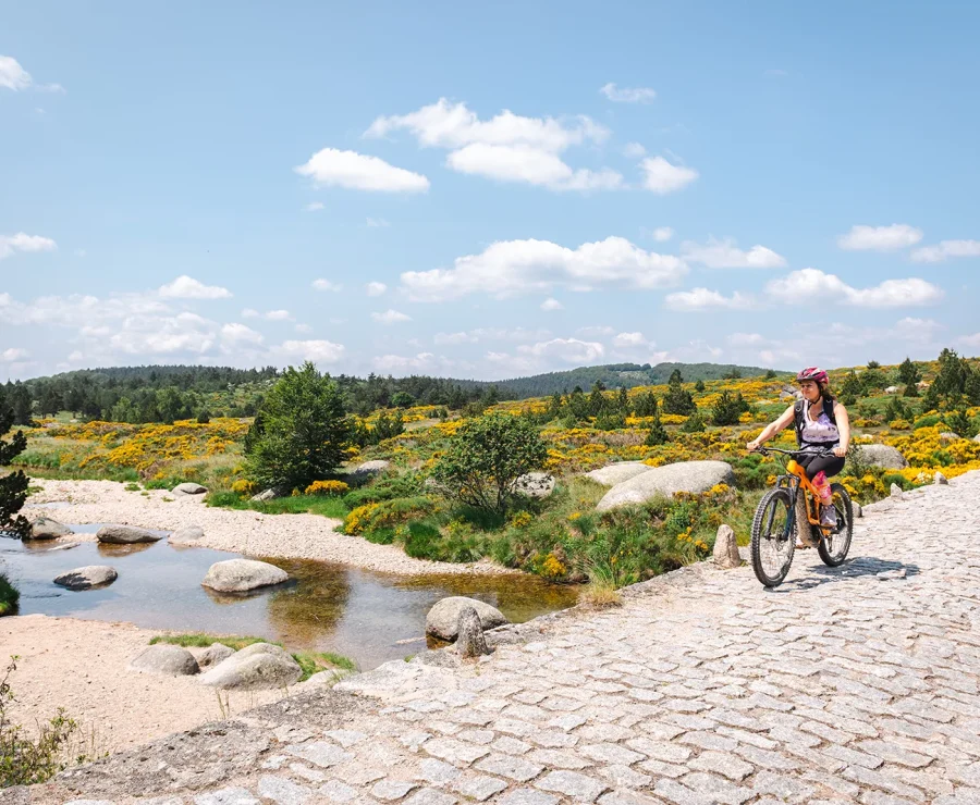 VTT électrique