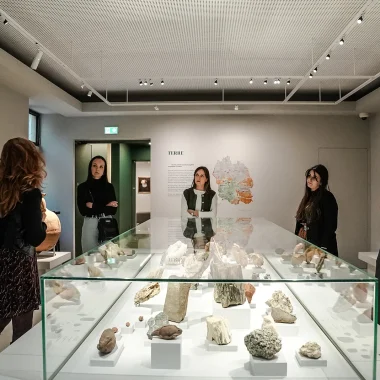 Salle du Musée du Gévaudan